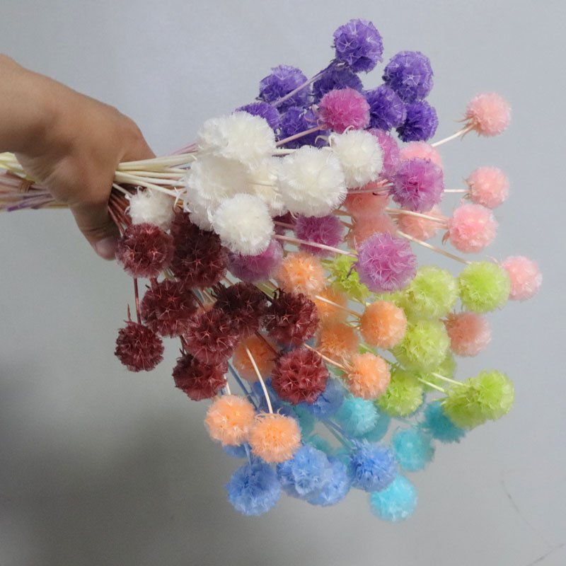 2023 Best seller preserved flowers, wedding home decor Preserved Scabiosa for various scene decorations