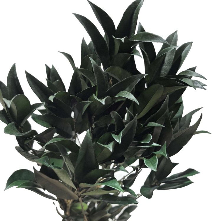 Preserved Osmanthus Branches for Home for Christmas Day Graduation New Year Garland and Flower Arrangement Decor