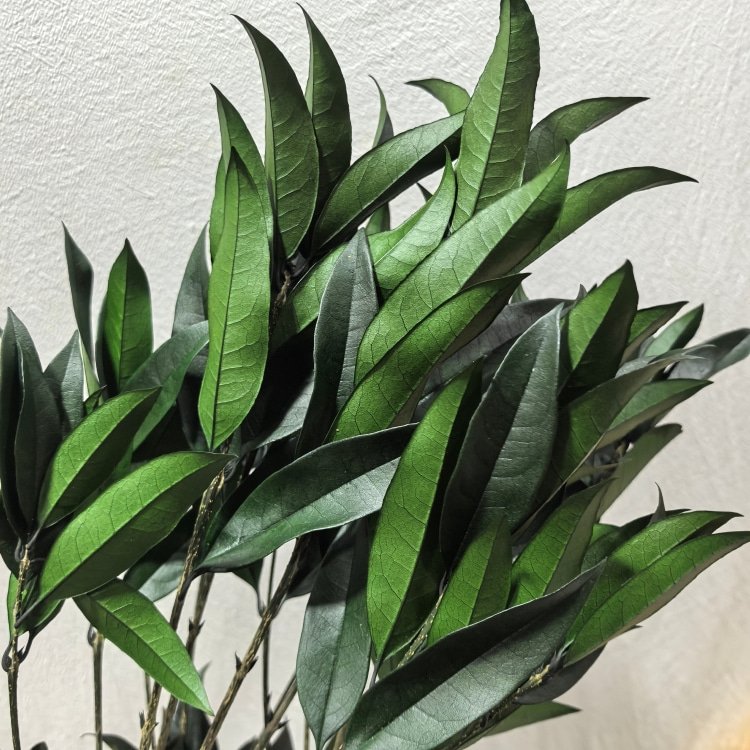 Preserved Osmanthus Branches for Home for Christmas Day Graduation New Year Garland and Flower Arrangement Decor