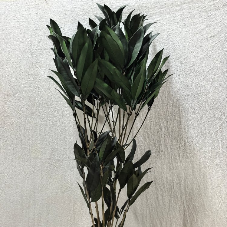 Preserved Osmanthus Branches for Home for Christmas Day Graduation New Year Garland and Flower Arrangement Decor