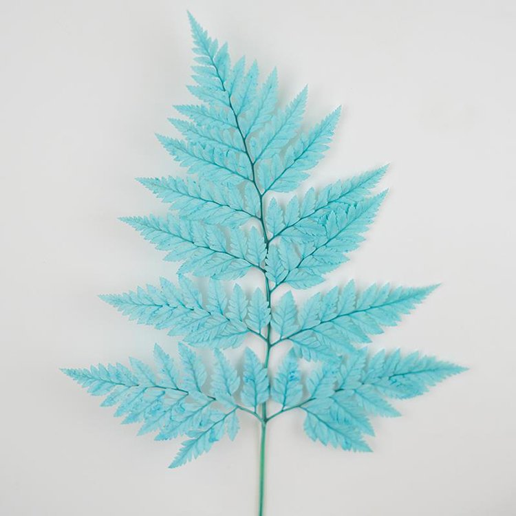 SumFlora Yunnan factory supply Wholesale high quality natural stabilized flower preserved flower arachniodes