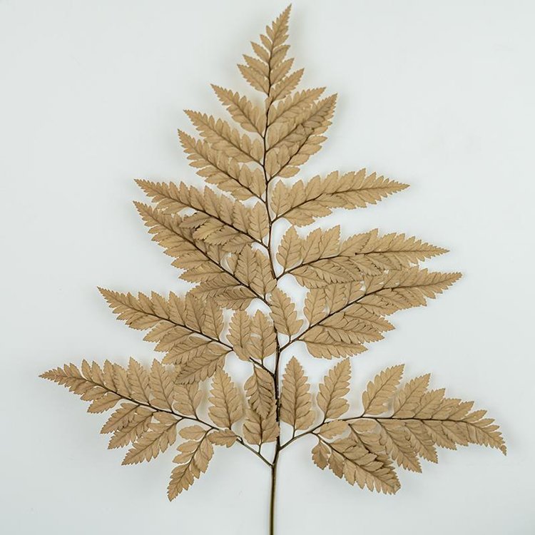 SumFlora Yunnan factory supply Wholesale high quality natural stabilized flower preserved flower arachniodes