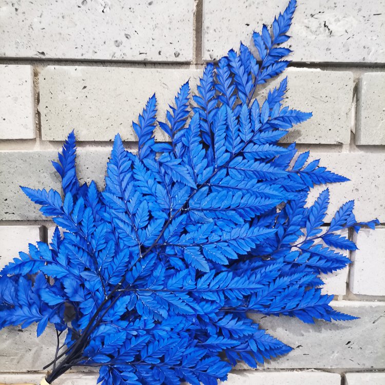 SumFlora Yunnan factory supply Wholesale high quality natural stabilized flower preserved flower arachniodes