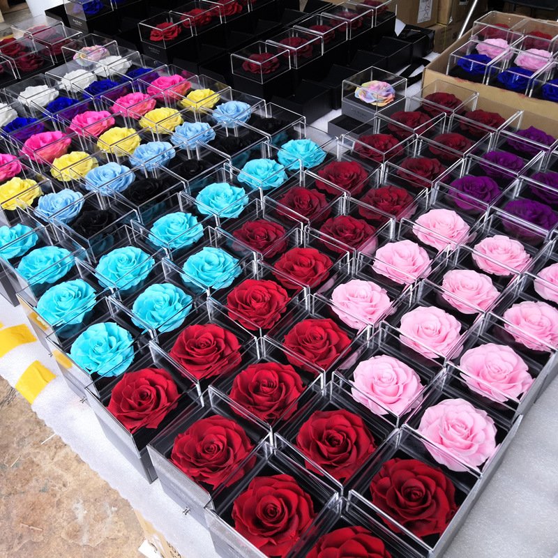 Preserved Real Rose with I Love You Necklace Gifts Ring Set Eternal Forever Handmade Soap Rose Enchanted Flower Gift Acrylic Box