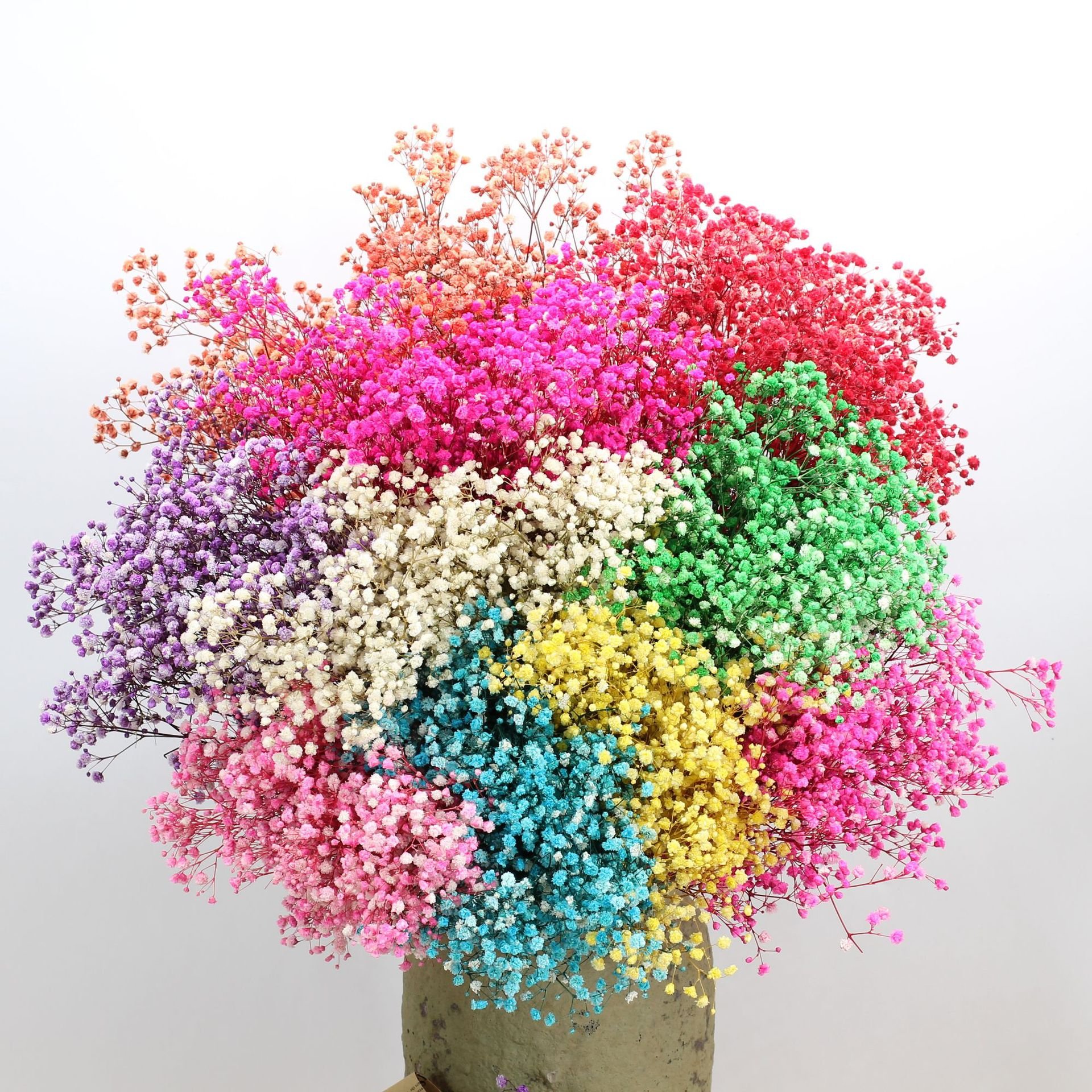 multiple colour Gypsophila dried lavender flowers natural dried flowers
