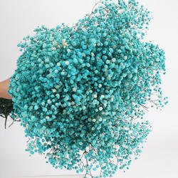 SKU06