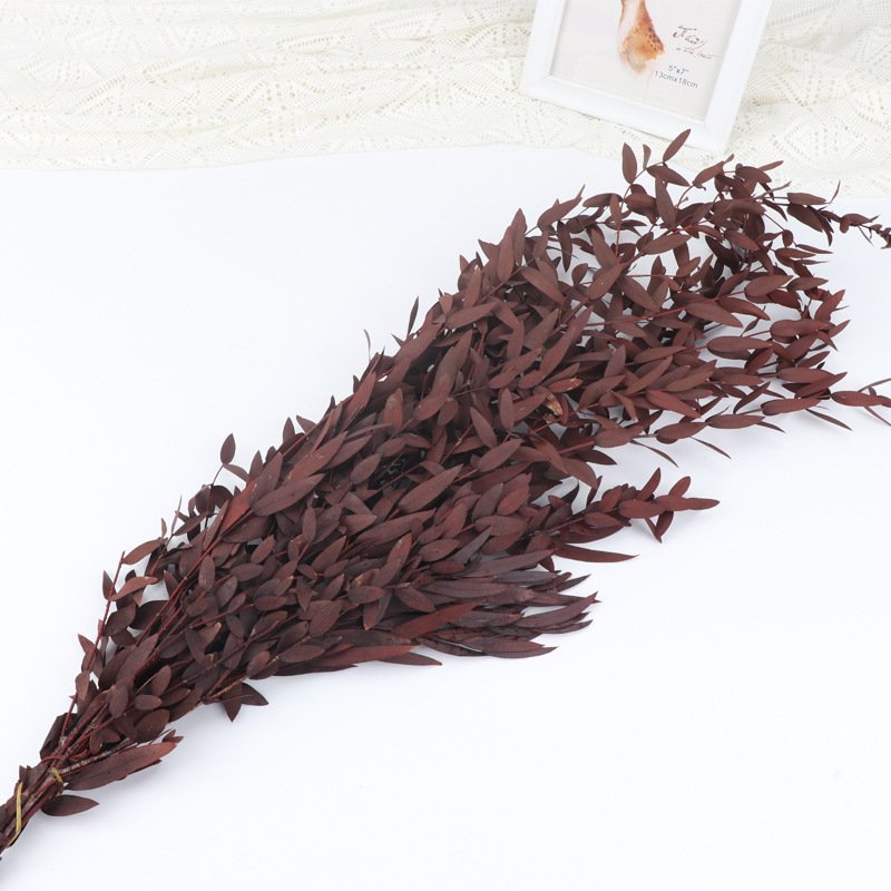 2023 most popular preserved eucalyptus preserved Flower Decorative Flowers for Home Decoration