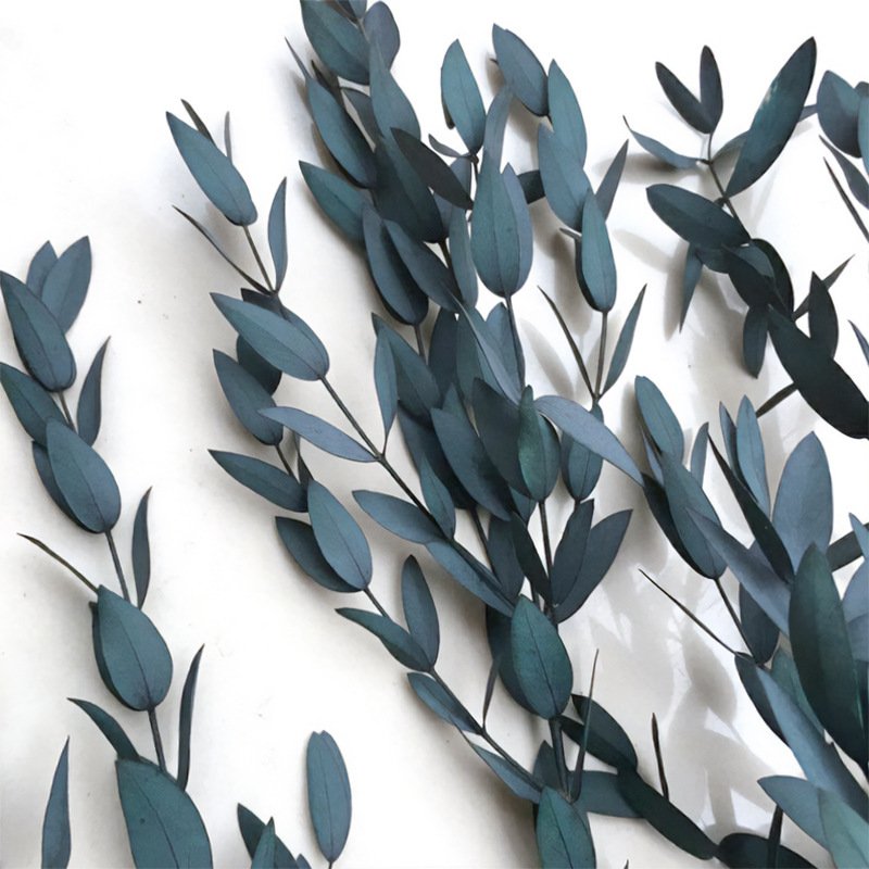 2023 most popular preserved eucalyptus preserved Flower Decorative Flowers for Home Decoration