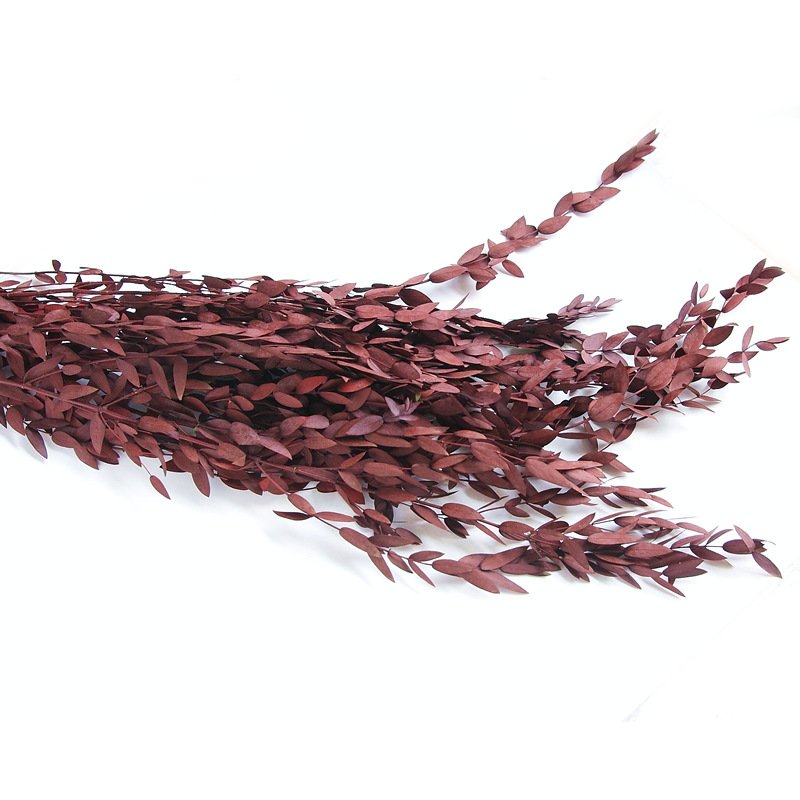 2023 most popular preserved eucalyptus preserved Flower Decorative Flowers for Home Decoration