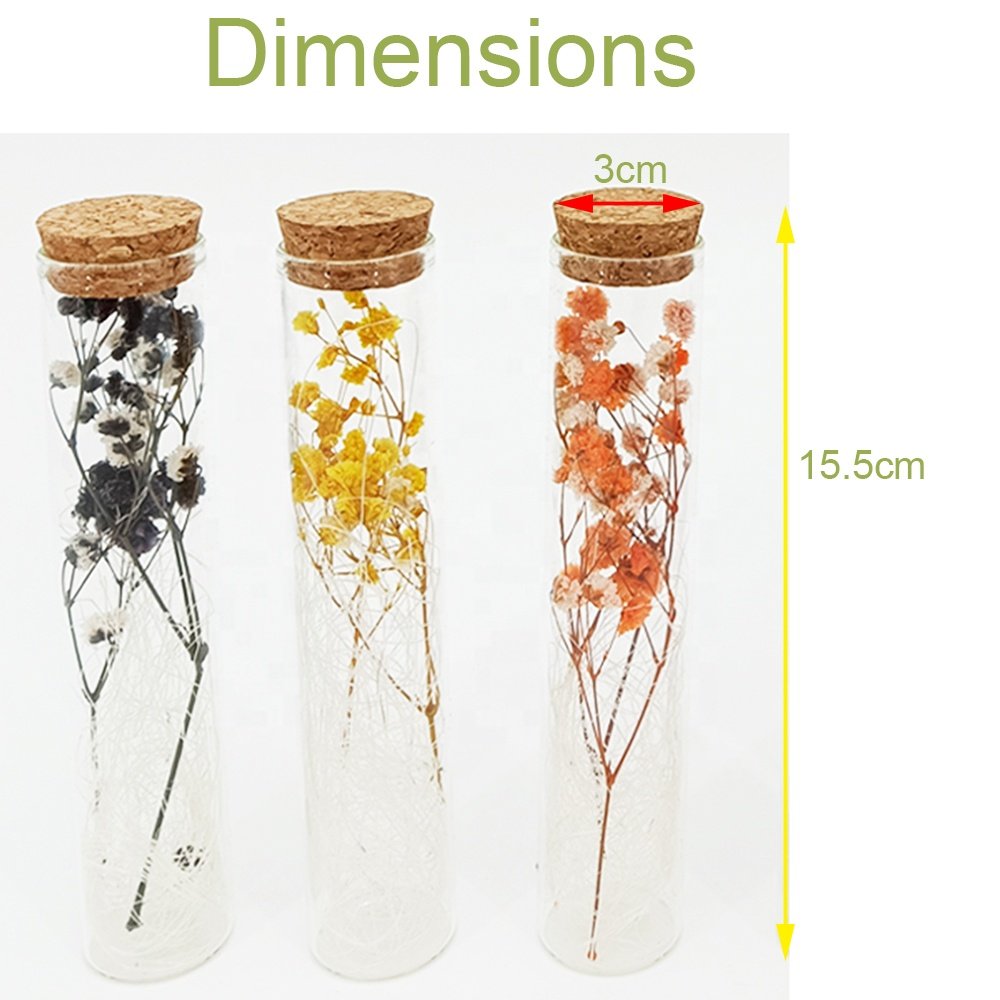 Handmade Eternal Flower Preserved Plants Real Flowers Dry Flowers in Glass Jar Bottle For Women Office Desk Table Decoration
