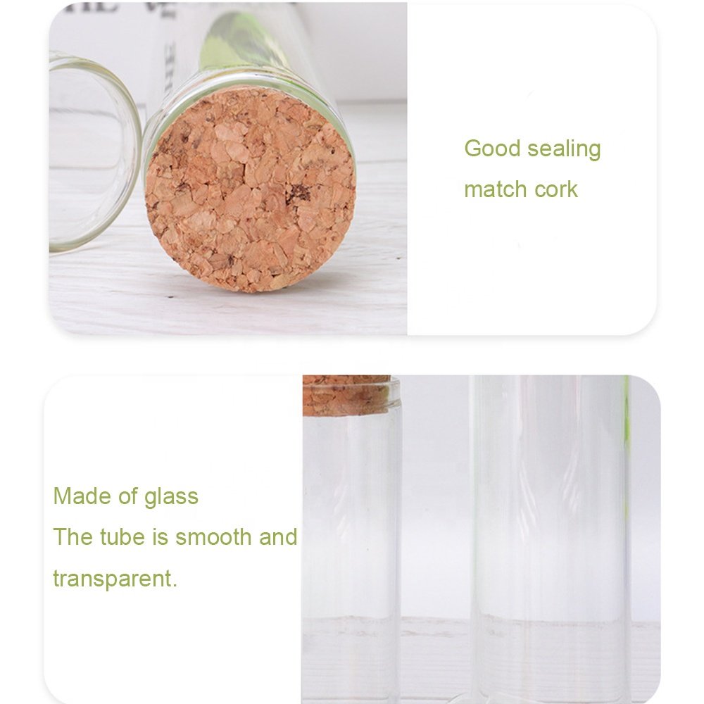 Handmade Eternal Flower Preserved Plants Real Flowers Dry Flowers in Glass Jar Bottle For Women Office Desk Table Decoration
