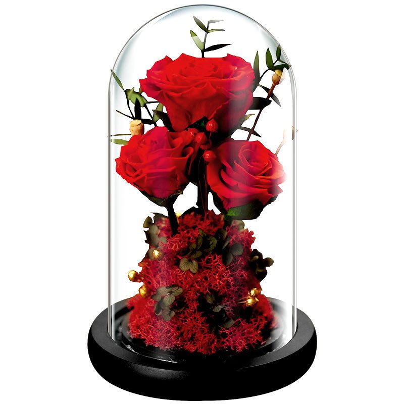 Customized 3 pcs Real Eternal Decorative Flower Preserved rose In Glass Dome With LED Light And Ribbon For Valentine Gifts
