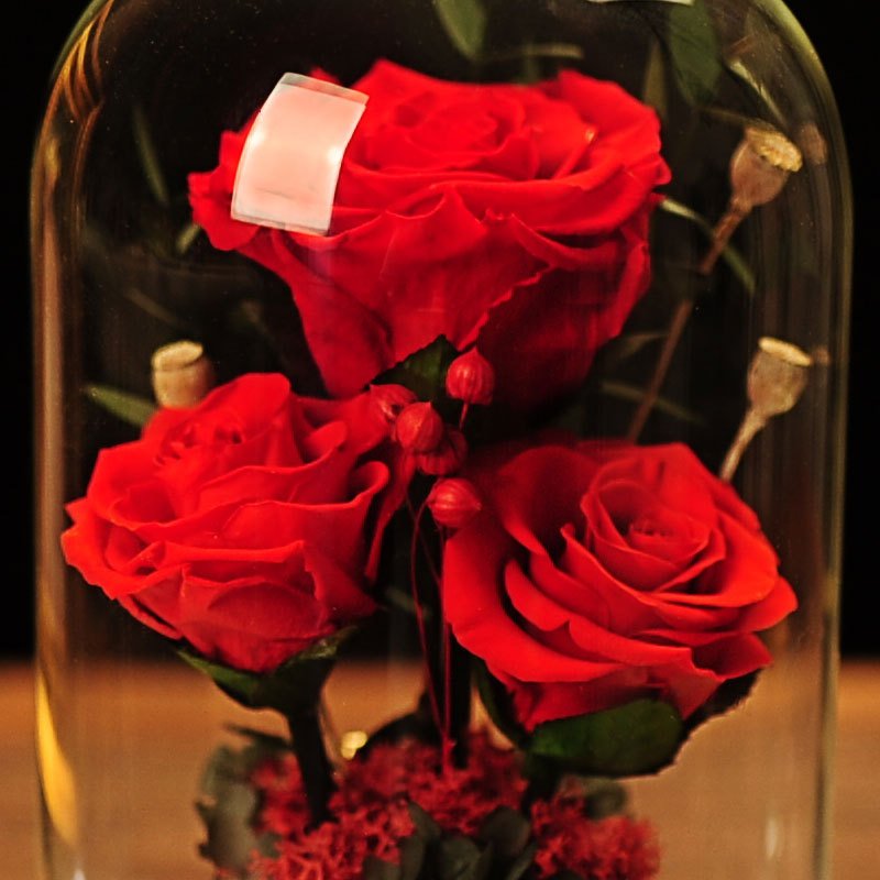 Customized 3 pcs Real Eternal Decorative Flower Preserved rose In Glass Dome With LED Light And Ribbon For Valentine Gifts