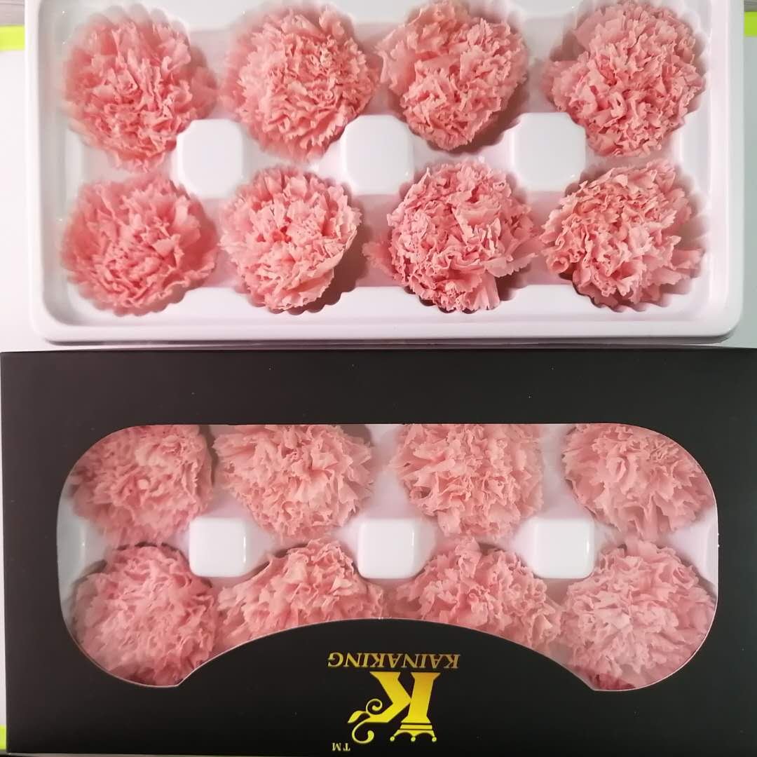 2024 Hot Selling Preserved Carnation 4-5cm Eternal Flowers For Mother's Day Gifts Thanksgiving Day DIY Bouquet
