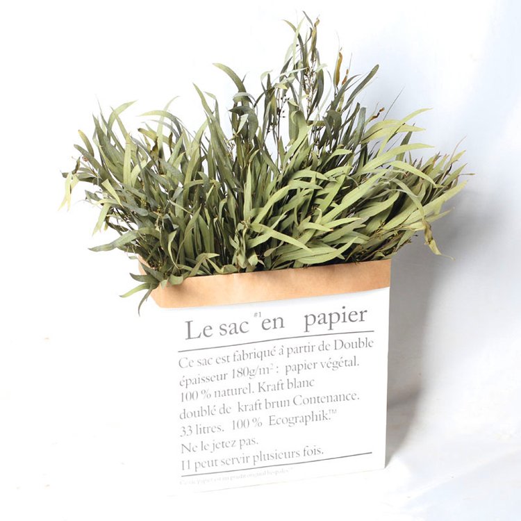 China wholesale preserved flowers preserved Eucalyptus long leaf for decorative