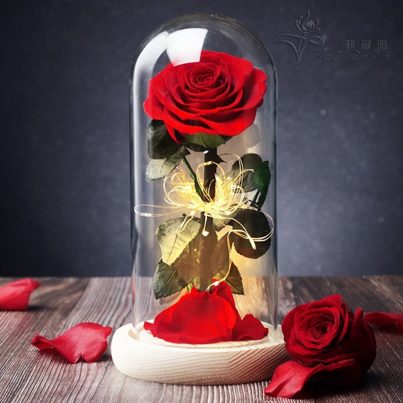 New product ideas 2024 cheap low price glass dome real preserved flower rose with led light for girlfriend