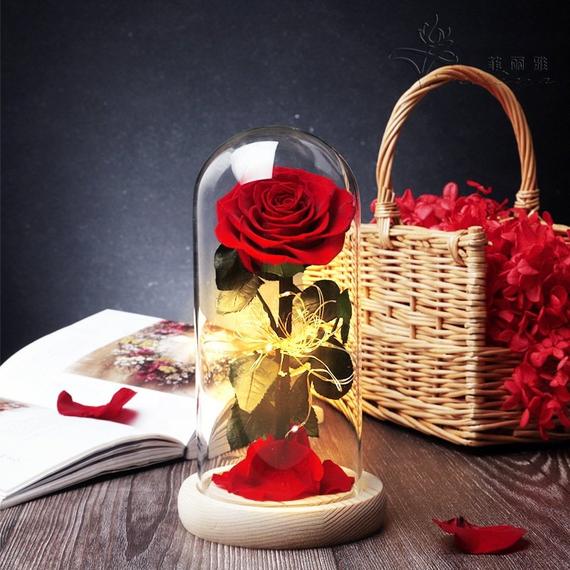 New product ideas 2024 cheap low price glass dome real preserved flower rose with led light for girlfriend