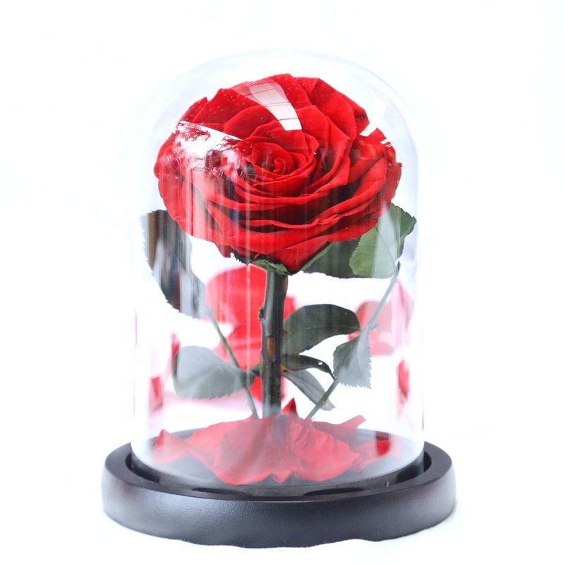 highquality Flower Dome 7-8cm Preserved Rose 42 Colors Forever Stabilized Eternal Roses In Glass Dome