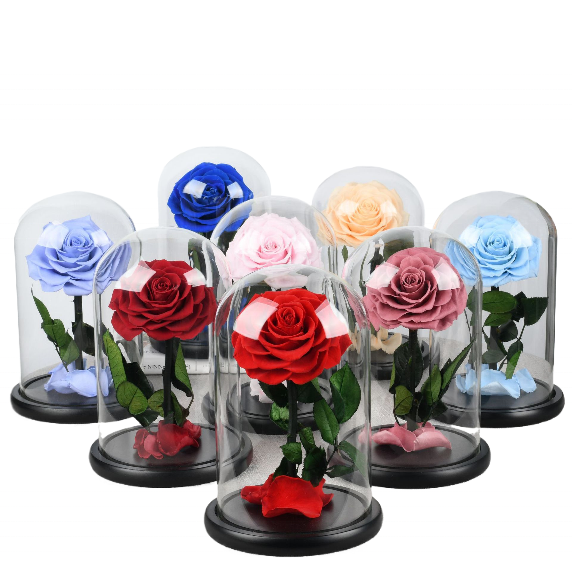 highquality Flower Dome 7-8cm Preserved Rose 42 Colors Forever Stabilized Eternal Roses In Glass Dome