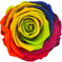 rainbow