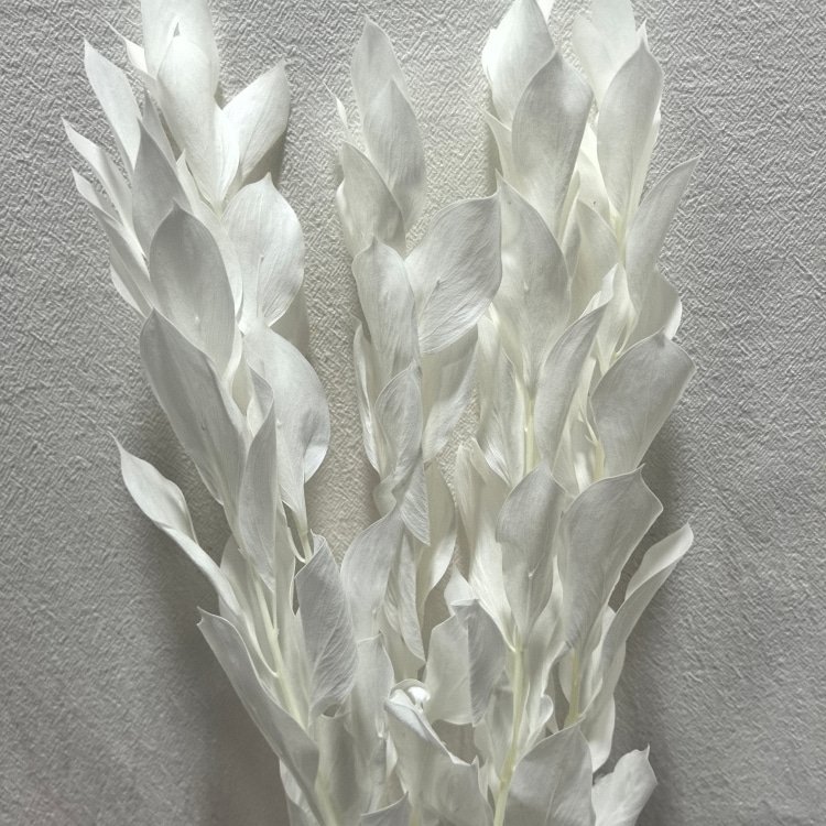 Preserved Artificial Lily Bamboo Flower for Home Office Decor Custom Size Good Quality Boxed for Christmas Wedding Mother's Day