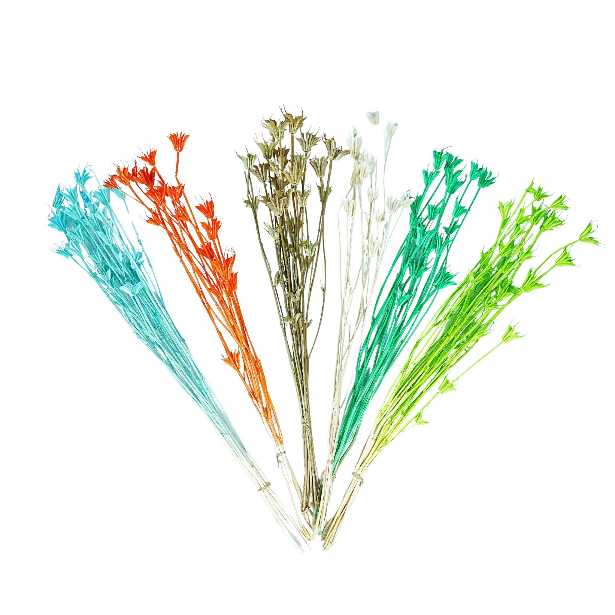 Factory direct sales Diy Real Dried Flowers Wedding Bouquet Preserved Flower Octagonal Flower Nigella orientalis