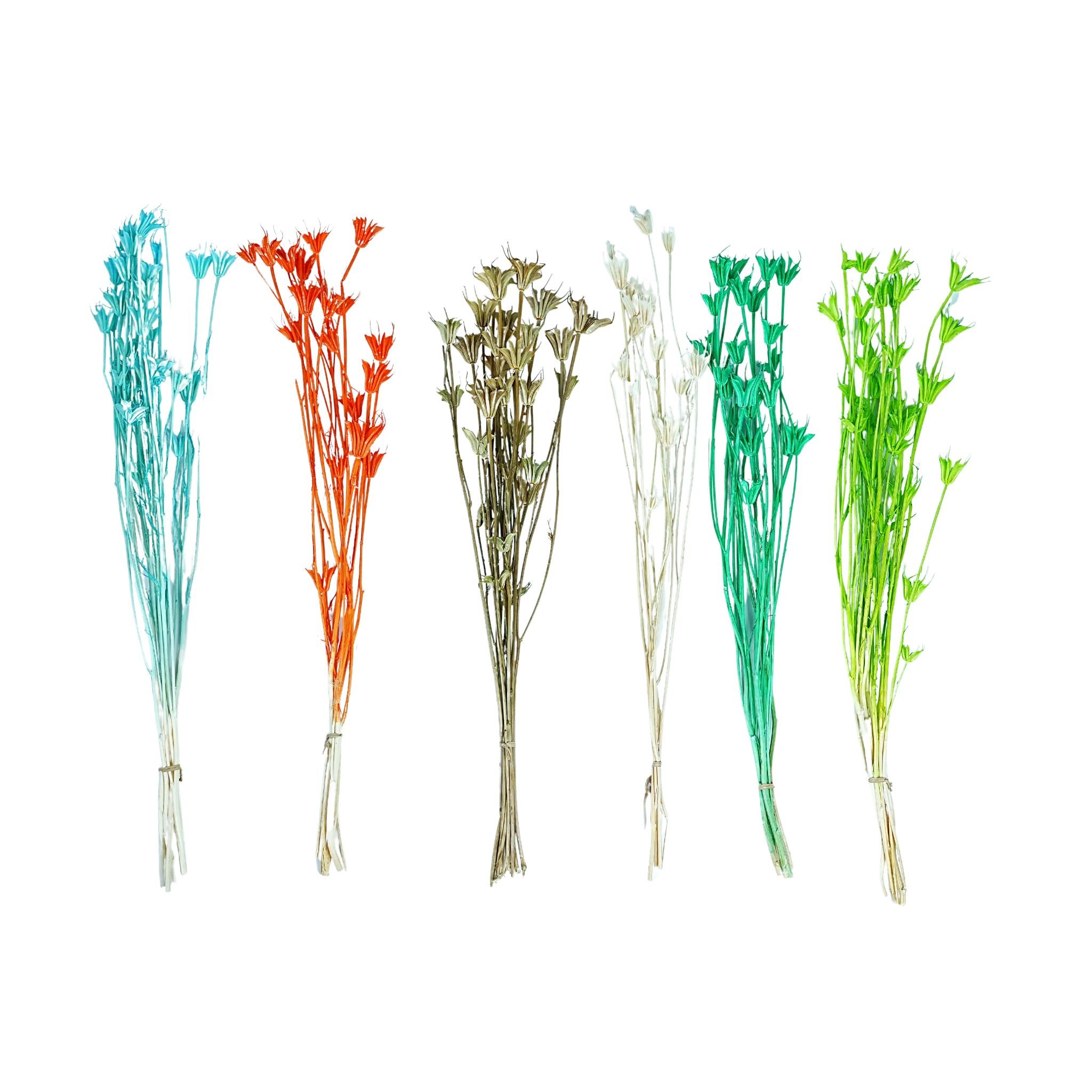 Factory direct sales Diy Real Dried Flowers Wedding Bouquet Preserved Flower Octagonal Flower Nigella orientalis