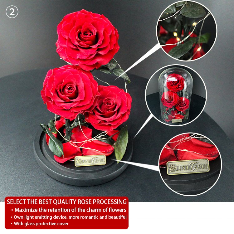 Preserved Rose Gift for Valentine Day Mother Day acrylic flowers luxury boxes Wedding Popular and Premium Mother days present gi