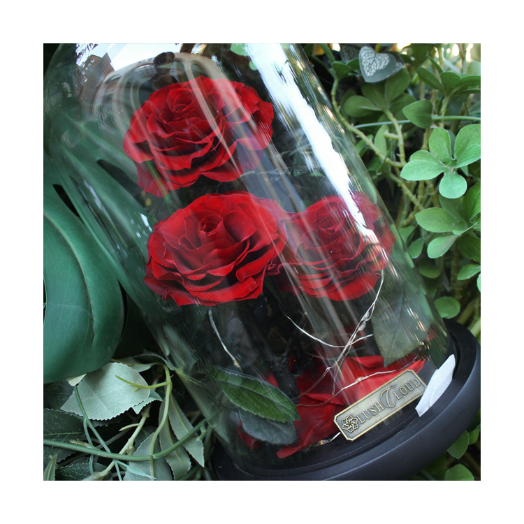 Preserved Rose Gift for Valentine Day Mother Day acrylic flowers luxury boxes Wedding Popular and Premium Mother days present gi