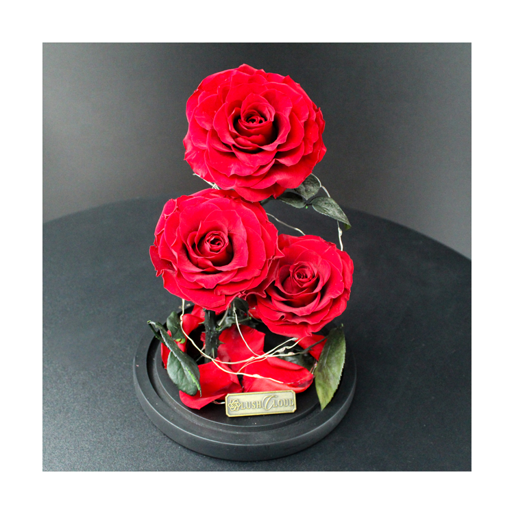 Preserved Rose Gift for Valentine Day Mother Day acrylic flowers luxury boxes Wedding Popular and Premium Mother days present gi