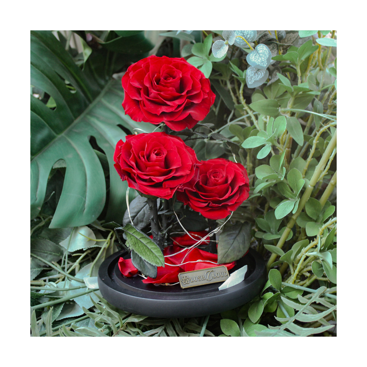 Preserved Rose Gift for Valentine Day Mother Day acrylic flowers luxury boxes Wedding Popular and Premium Mother days present gi