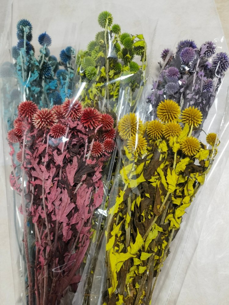 Natural Blue Globe Thistle (Echinops Latifolius) Preserved Flowers Rustic Wedding Decorative Spiky Balls Tinted Room Bouquet