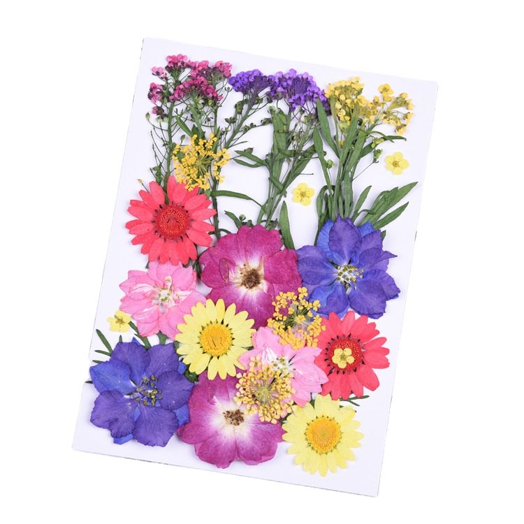BLH Factory Supply DIY Dried Pressed Flower Frame Material Mixed Natural Flora Package