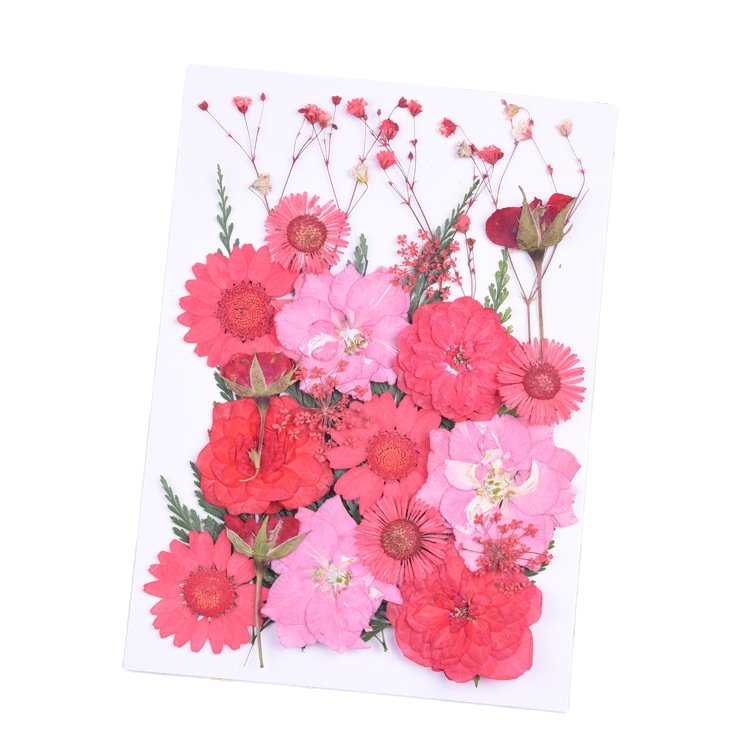 BLH Factory Supply DIY Dried Pressed Flower Frame Material Mixed Natural Flora Package