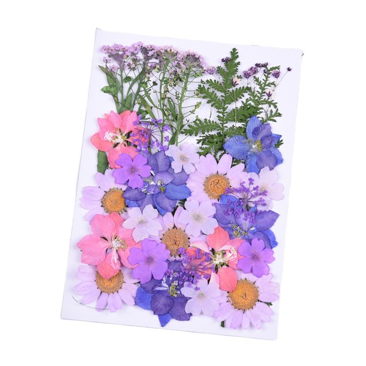 BLH Factory Supply DIY Dried Pressed Flower Frame Material Mixed Natural Flora Package