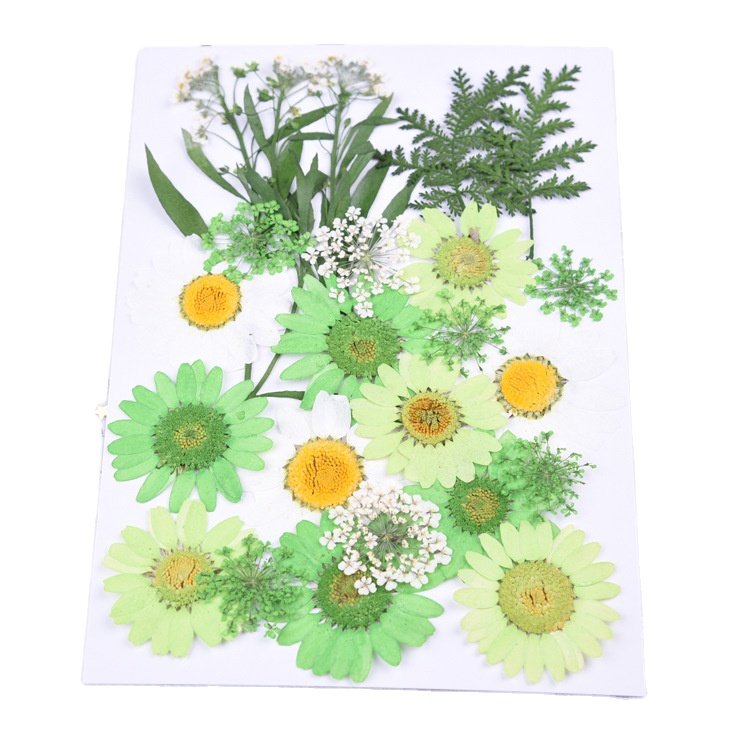 BLH Factory Supply DIY Dried Pressed Flower Frame Material Mixed Natural Flora Package