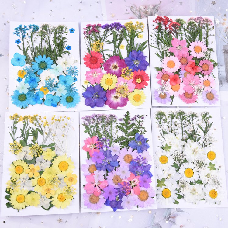 BLH Factory Supply DIY Dried Pressed Flower Frame Material Mixed Natural Flora Package