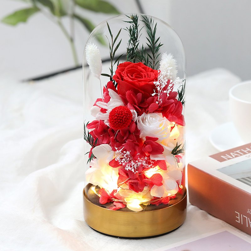 Wholesale natural flower gift box forever eternal rose in glass dome box preserved rose for Valentine's gift