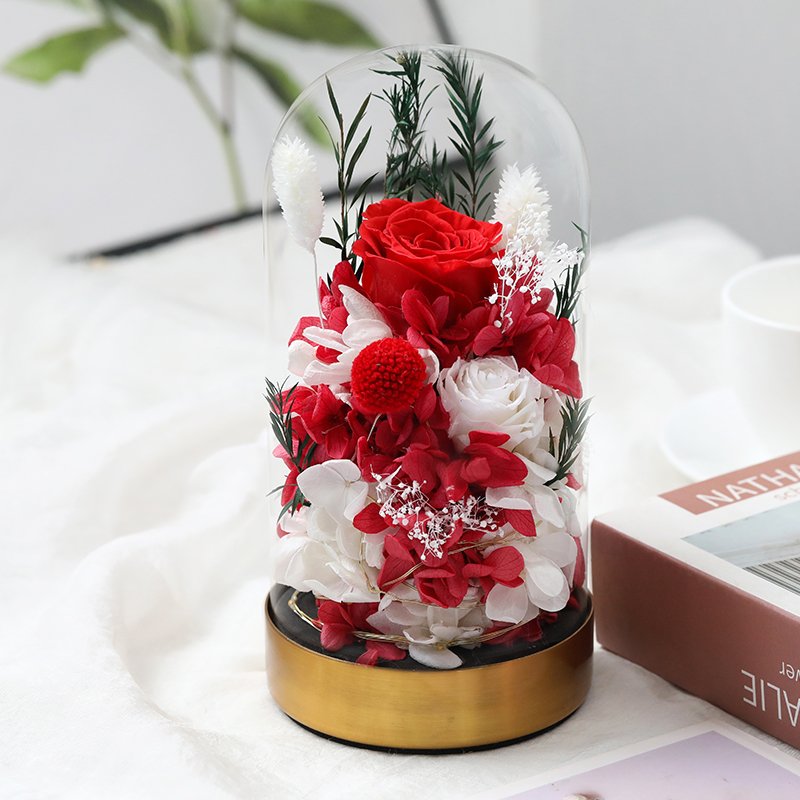 Wholesale natural flower gift box forever eternal rose in glass dome box preserved rose for Valentine's gift