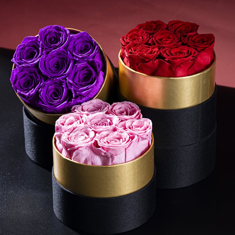New Year Box Perfect Valentines Day Gift Immortal Infinity Eternal Forever Stabilized Preserved Roses in Gift Box Chinese