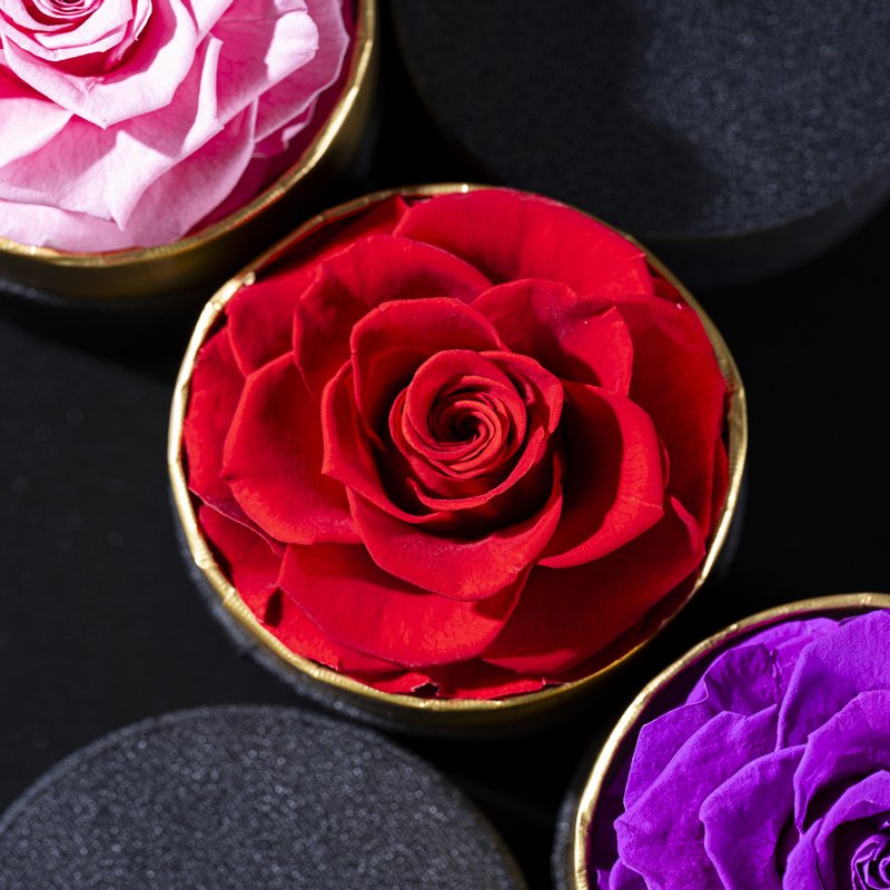 New Year Box Perfect Valentines Day Gift Immortal Infinity Eternal Forever Stabilized Preserved Roses in Gift Box Chinese