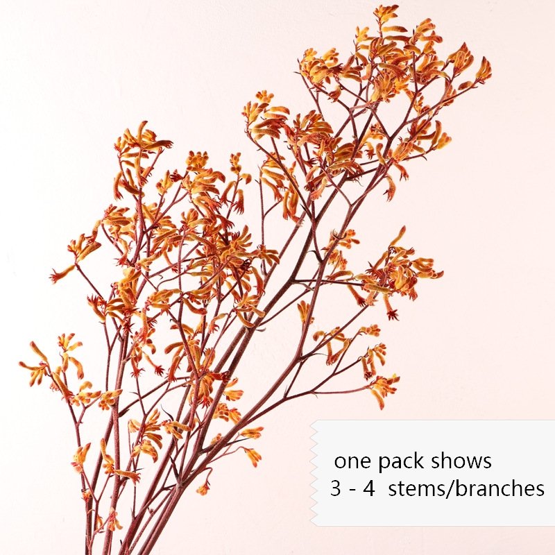Preserved natural kangaroo paw flower, Anigozanthos, factory price, decorative flowers.