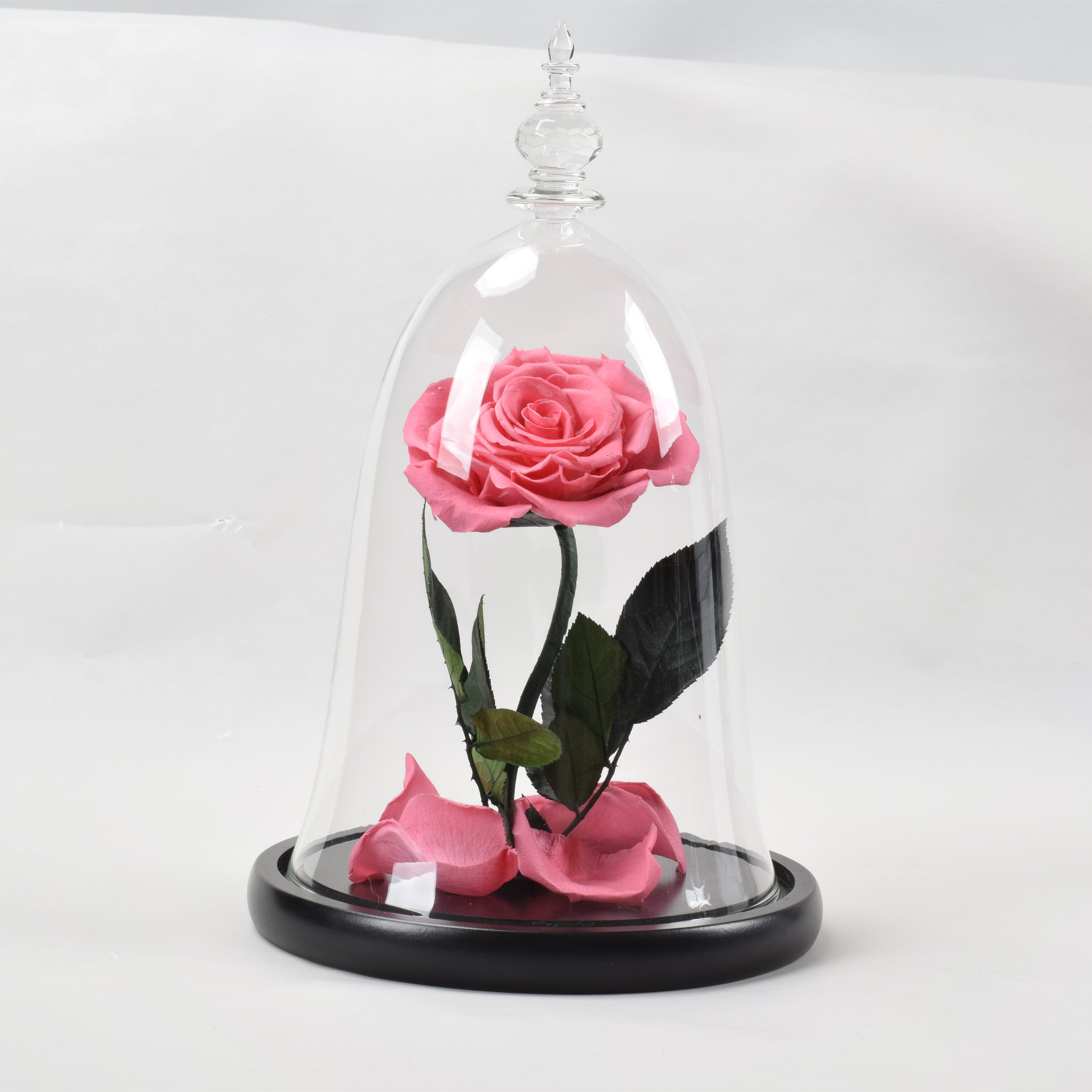 HFlora the best-selling colorful Decorative Preserved Flowers in Glass Dome for Wedding banquet restaurant