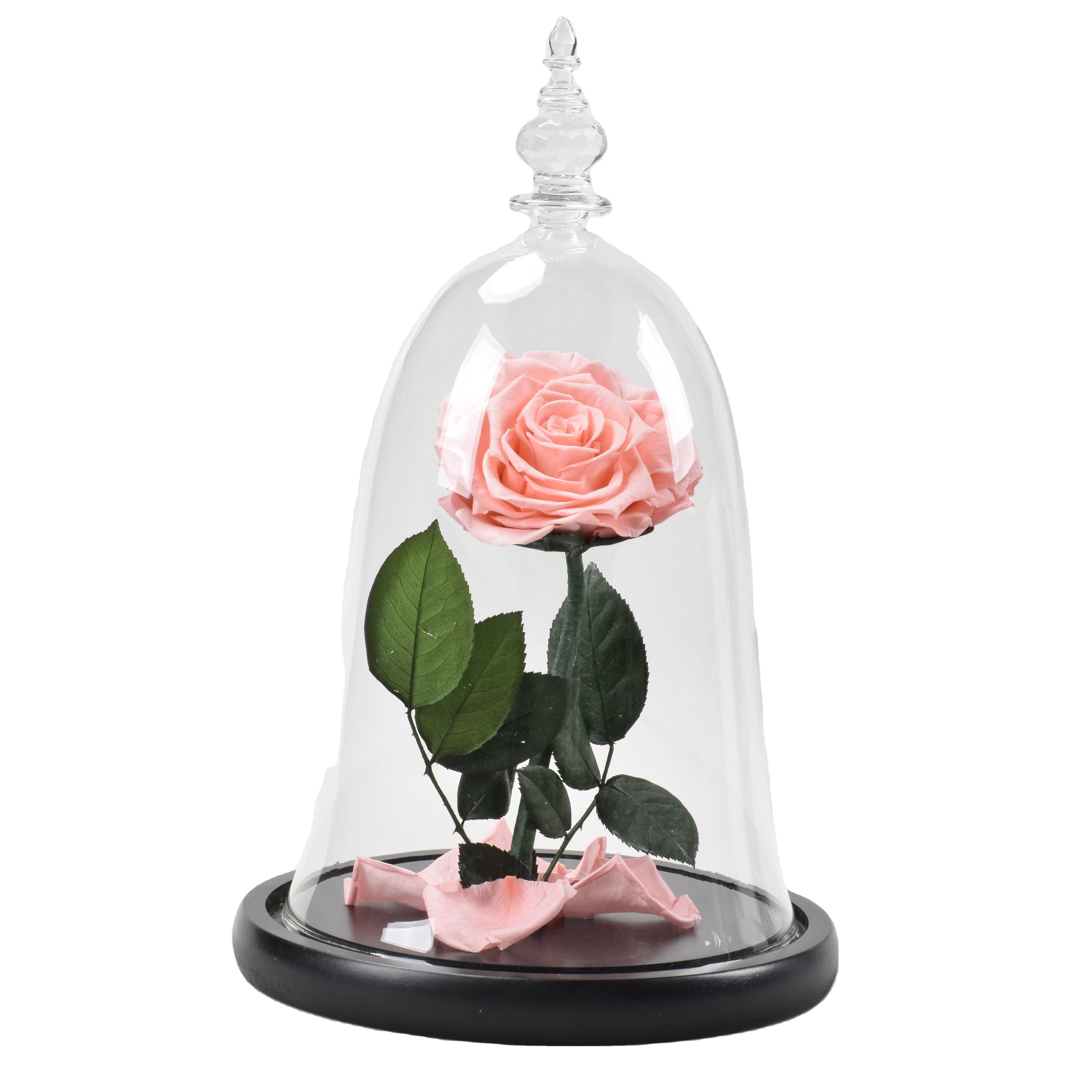 HFlora the best-selling colorful Decorative Preserved Flowers in Glass Dome for Wedding banquet restaurant