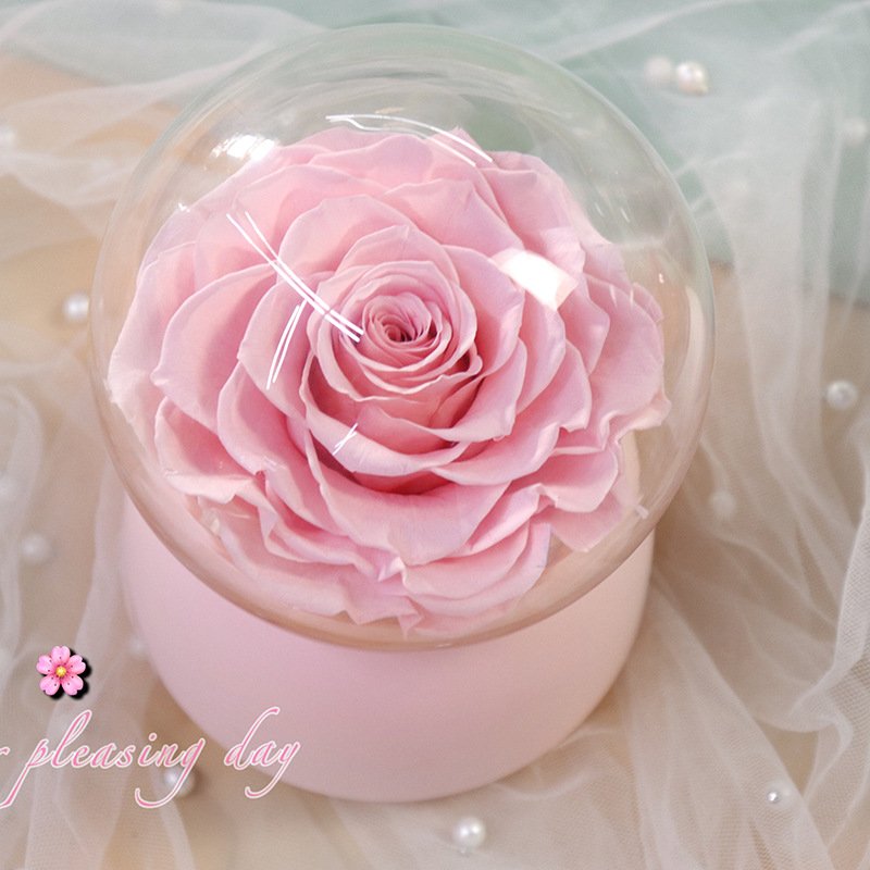 Rotating rose gift box preserved rose eternal forever long life mini preserved globe rose