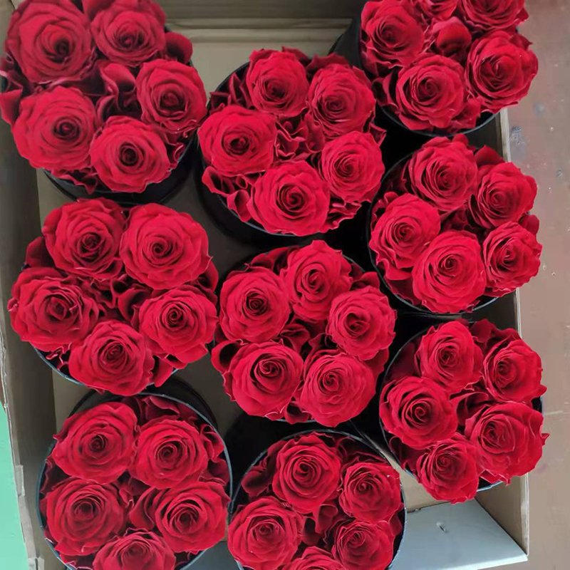 high quality natural flower long lasting immortal infinity eternal forever preserved rose in box mothers valentines day gift