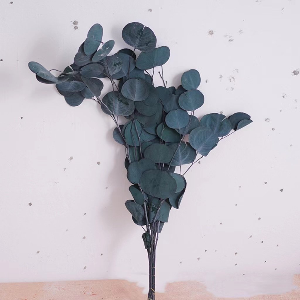 INS most popular decorative flowers preserved leaves bleached apple leaf eucalyptus leaves for outdoor indoor decoration