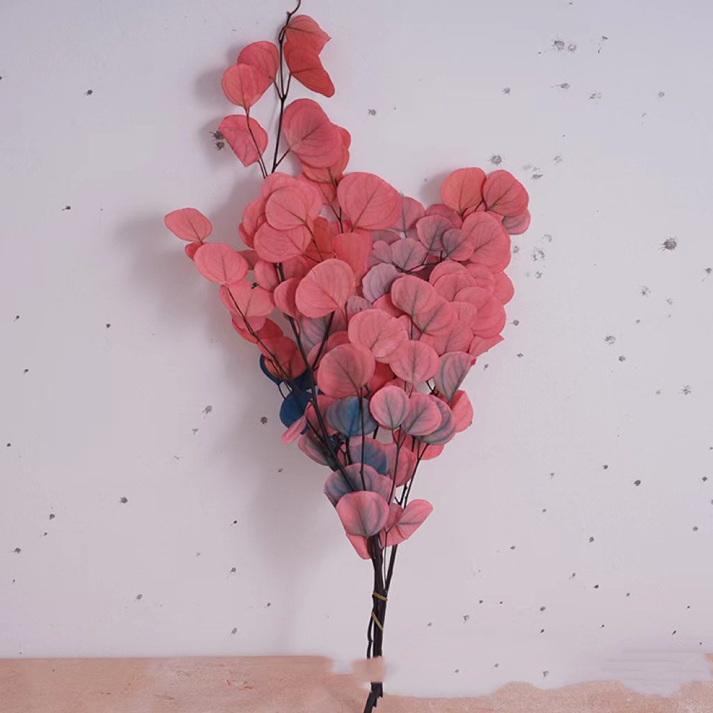 INS most popular decorative flowers preserved leaves bleached apple leaf eucalyptus leaves for outdoor indoor decoration