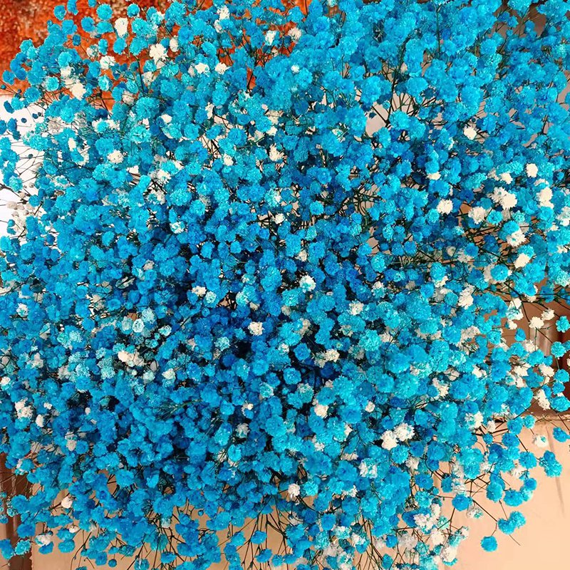 Wholesale Baby Breath Gypsophila Flower Bouquet Preserved Real Plant for Wedding Home Party Decoration