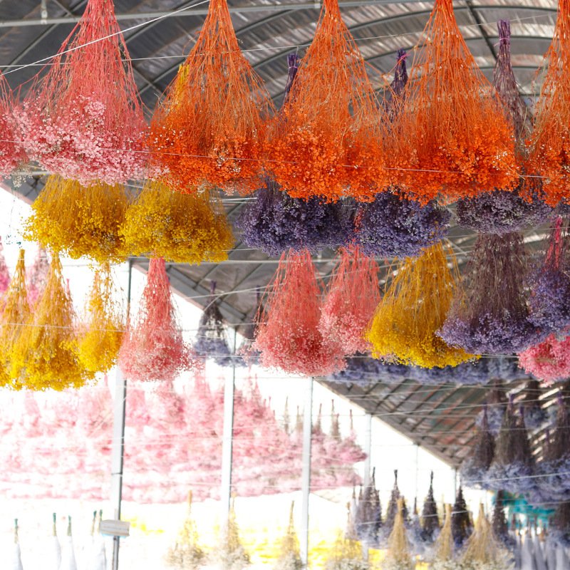 120g/450g Preserved Flowers Natural Fresh Dried Flower Bouquets Gift for Wedding Decoration Home Decor